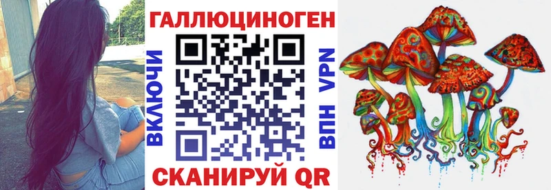 купить  цена  Чухлома  Галлюциногенные грибы Psilocybine cubensis 